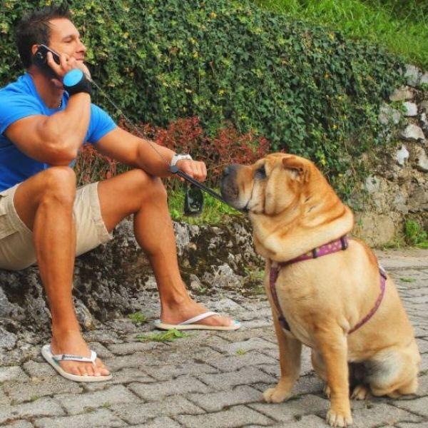 Guia Retrátil Mãos Livres - Amor PetShop