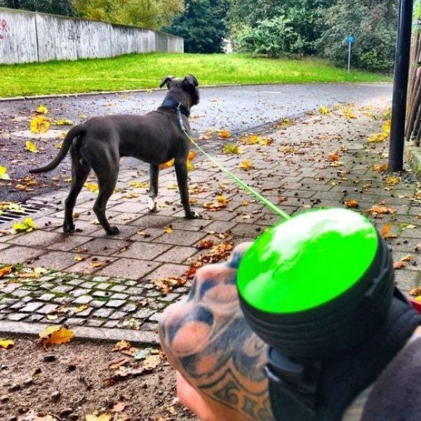 Guia Retrátil Mãos Livres - Amor PetShop