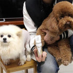 Máquina de Tosa ChicDog P2 Bivolt ORIGINAL - Amor PetShop
