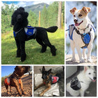 Mochila de Hiking para Cachorros - Amor PetShop