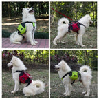 Mochila de Hiking para Cachorros - Amor PetShop