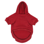 Moletom para Coelho RABBIT WINTER - Amor PetShop