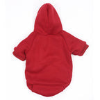 Moletom para Coelho RABBIT WINTER - Amor PetShop