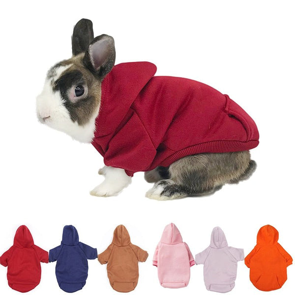 Moletom para Coelho RABBIT WINTER - Amor PetShop