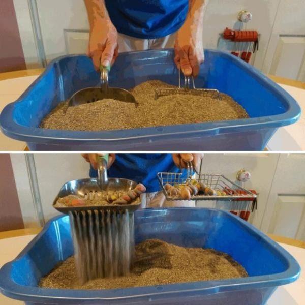 Pazinha Cat Toilet - Amor PetShop