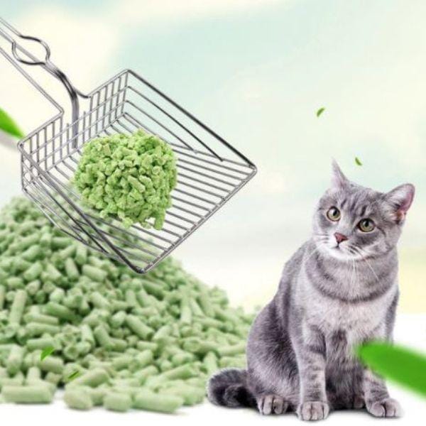 Pazinha Cat Toilet - Amor PetShop