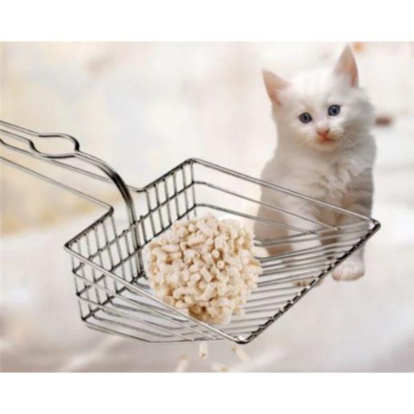 Pazinha Cat Toilet - Amor PetShop