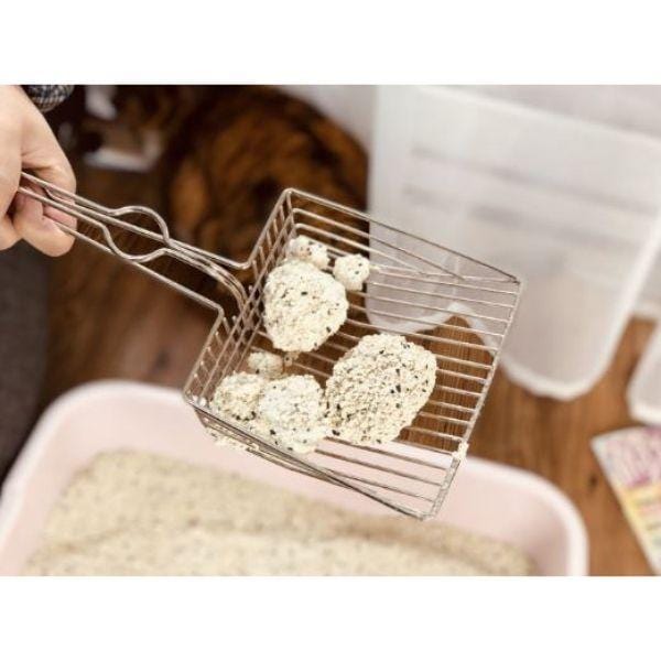 Pazinha Cat Toilet - Amor PetShop
