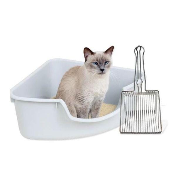 Pazinha Cat Toilet - Amor PetShop