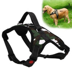Peitoral Anti-Puxão Pet Walking - Amor PetShop