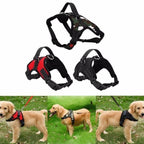 Peitoral Anti-Puxão Pet Walking - Amor PetShop