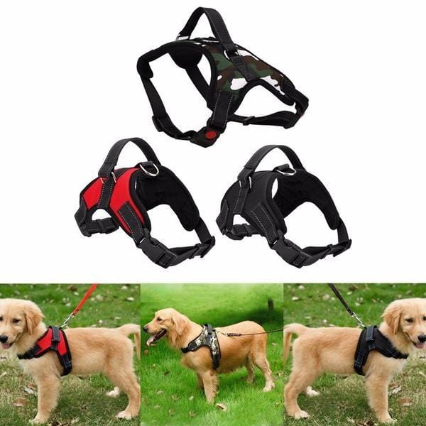 Peitoral Anti-Puxão Pet Walking - Amor PetShop