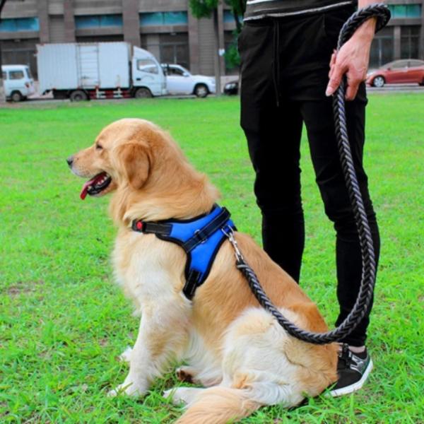 Peitoral Anti-Puxão Pet Walking - Amor PetShop