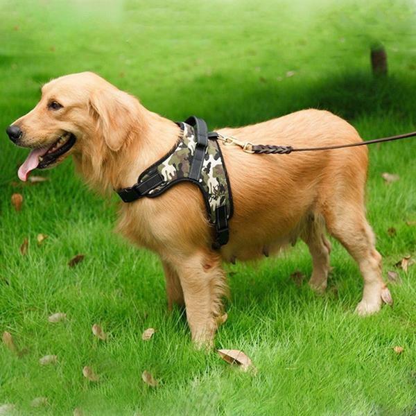 Peitoral Anti-Puxão Pet Walking - Amor PetShop