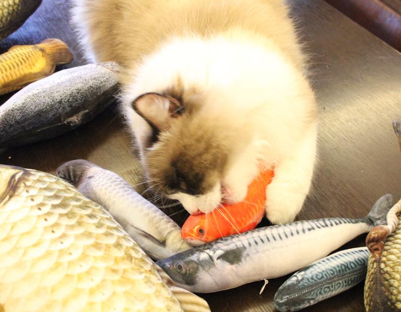 Peixe com Catnip para Gatos - Amor PetShop