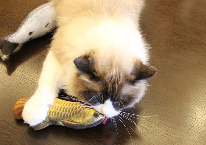 Peixe com Catnip para Gatos - Amor PetShop