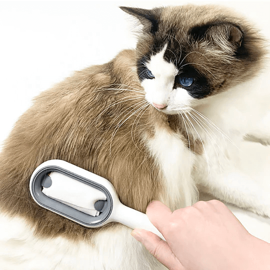 PetEase Escova Relaxante e Removedora de Pelos para Gato e Cachorro - Amor PetShop
