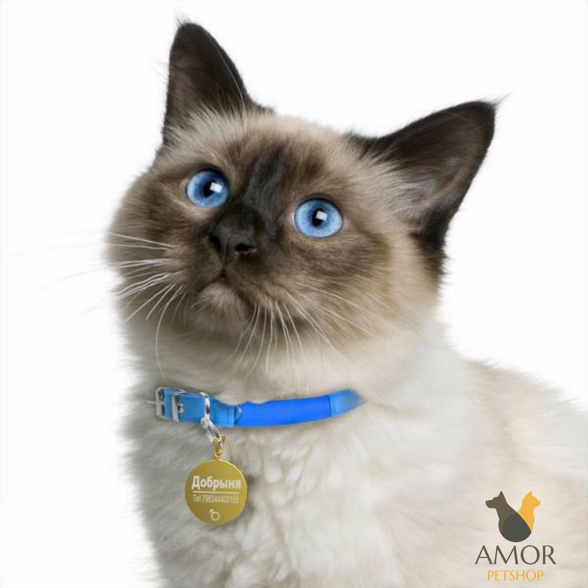 Pingente de Identificação Personalizável para Pets em Aço Inoxidável - Amor PetShop