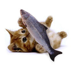 PIPI The FISH® - O Brinquedo predileto dos Gatos - Amor PetShop