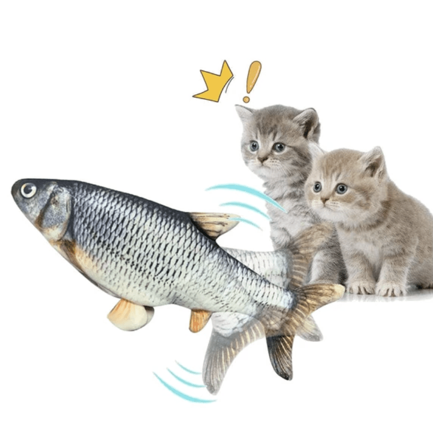 PIPI The FISH® - O Brinquedo predileto dos Gatos - Amor PetShop