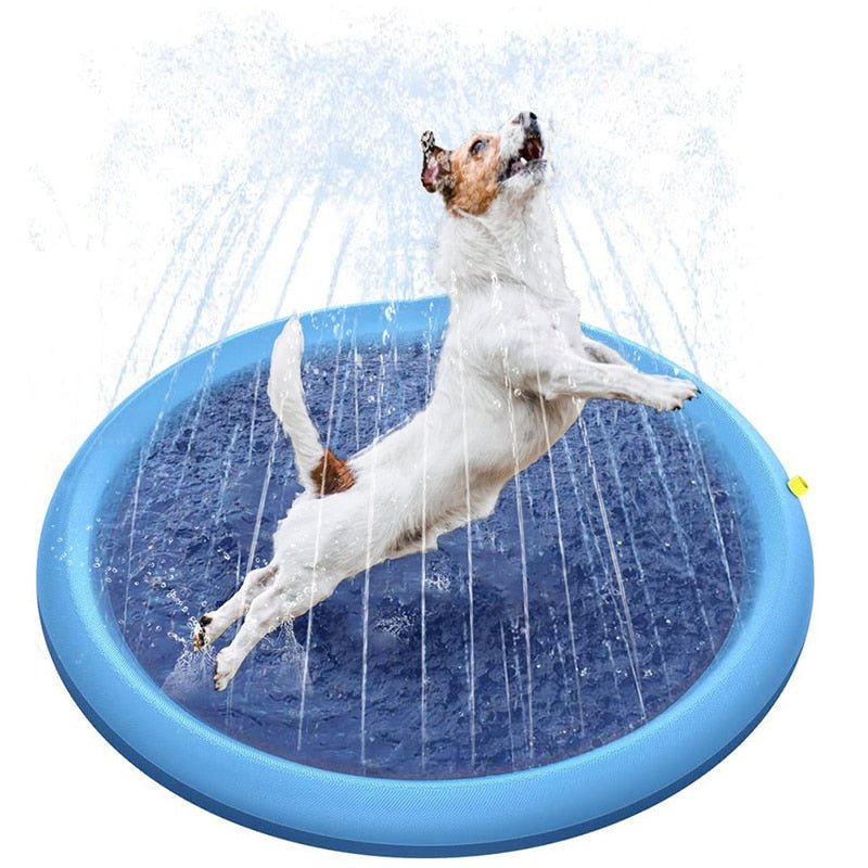 Piscina para Pet Refresca Verão 2023 - Amor PetShop