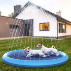 Piscina para Pet Refresca Verão 2023 - Amor PetShop