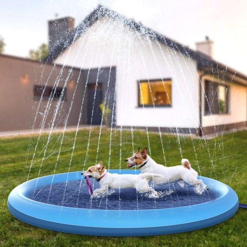 Piscina para Pet Refresca Verão 2023 - Amor PetShop