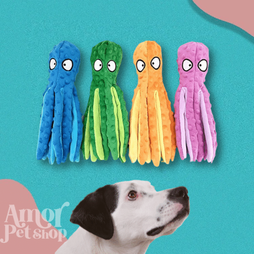 Polvo Amigo Brinquedo Mastigável Anti Stress para Cães - Amor PetShop