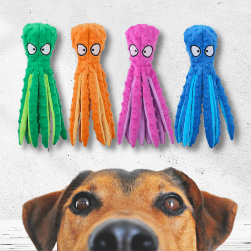 Polvo Amigo Brinquedo Mastigável Anti Stress para Cães - Amor PetShop