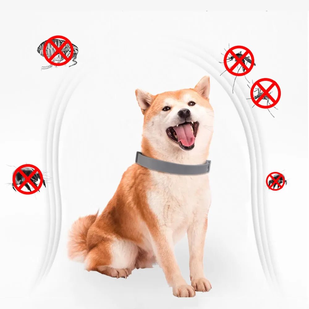 RepelPet - Colar Antipulgas e Carrapatos para Cães e Gatos - Amor PetShop