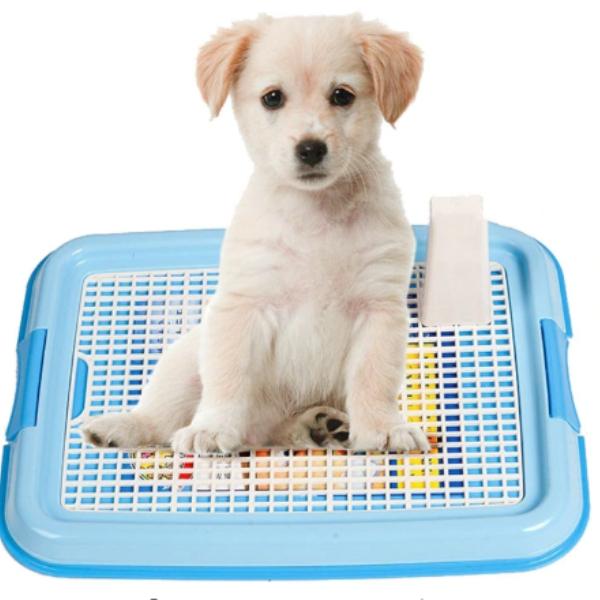 Sanitário Pipi Dog Luxo - Amor PetShop