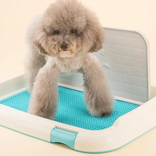 Sanitário Pipi Dog Luxo - Amor PetShop
