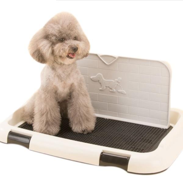 Sanitário Pipi Dog Luxo - Amor PetShop