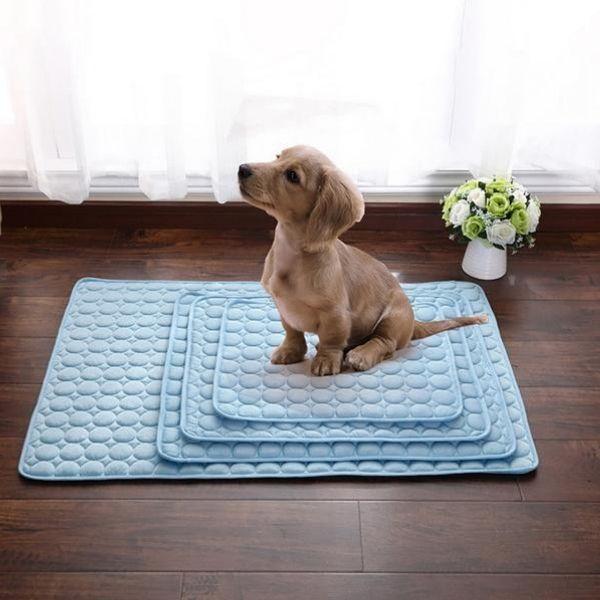 Tapete Gelado Cool Summer Respirável - Amor PetShop