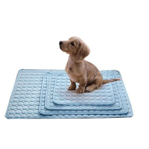 Tapete Gelado Cool Summer Respirável - Amor PetShop