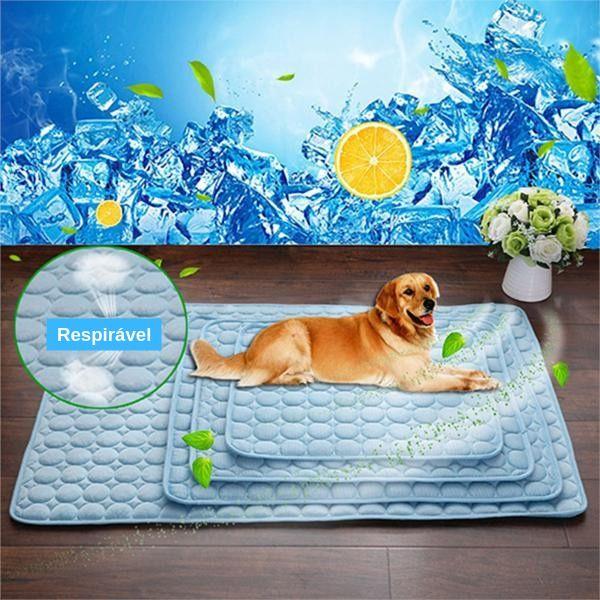 Tapete Gelado Cool Summer Respirável - Amor PetShop
