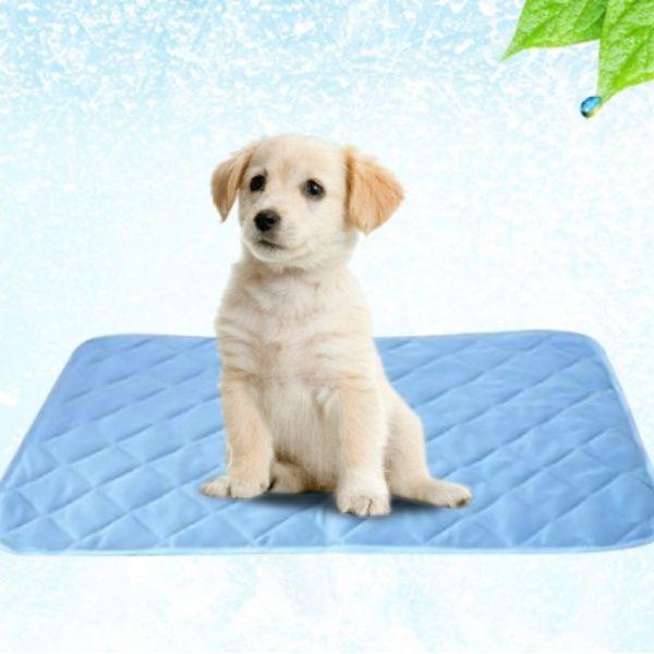 Tapete Gelado Cool Summer Respirável - Amor PetShop