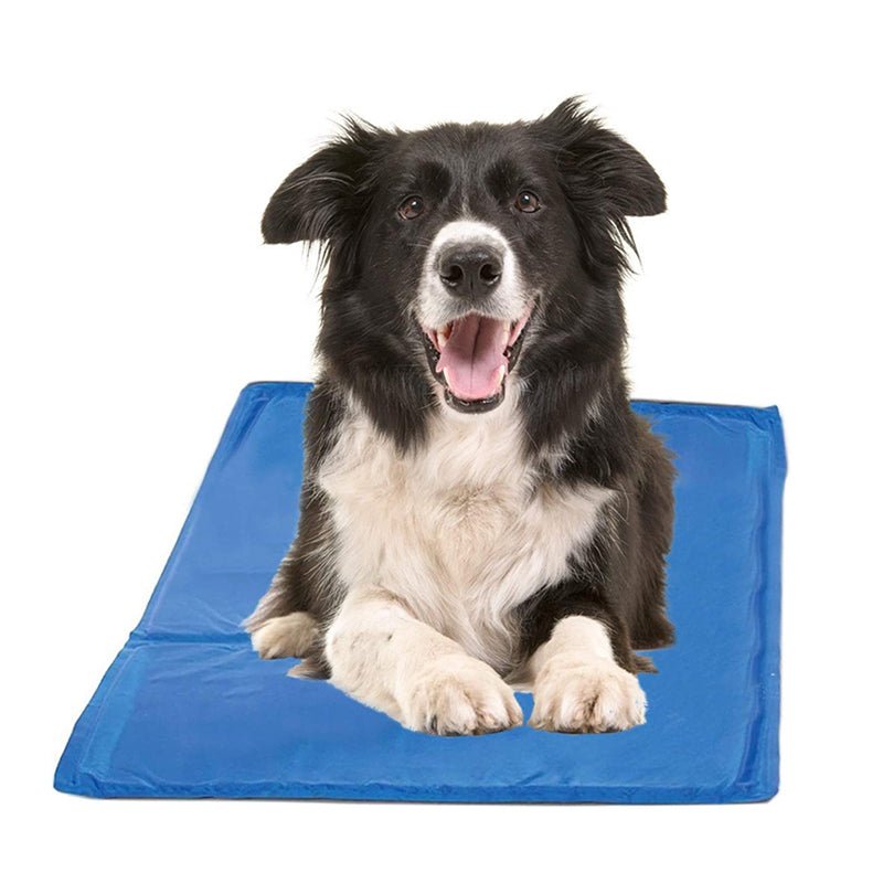 Tapete Gelado para Cães em PVC FreshSummer (G 50x65cm) - Amor PetShop