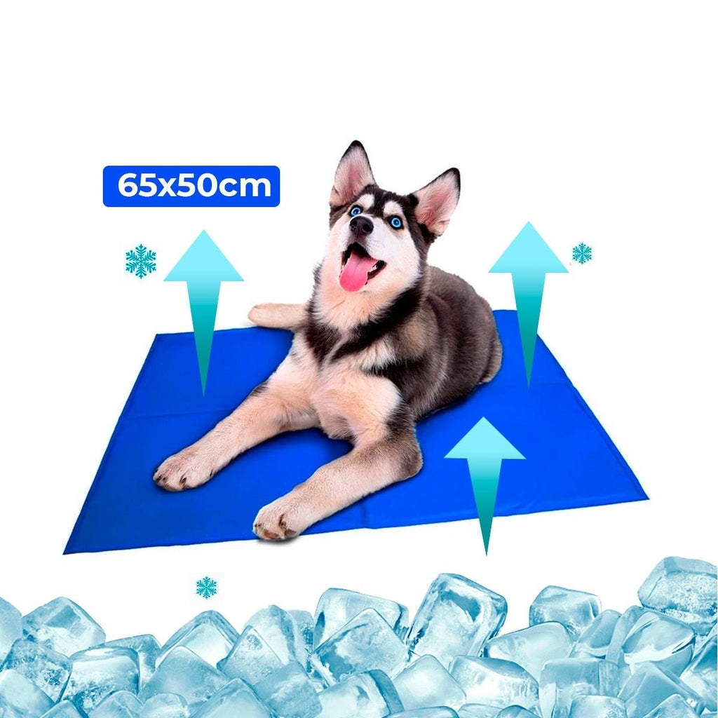 Tapete Gelado para Cães em PVC FreshSummer (G 50x65cm) - Amor PetShop