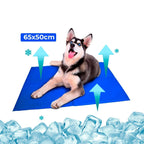 Tapete Gelado para Cães em PVC FreshSummer (G 50x65cm) - Amor PetShop