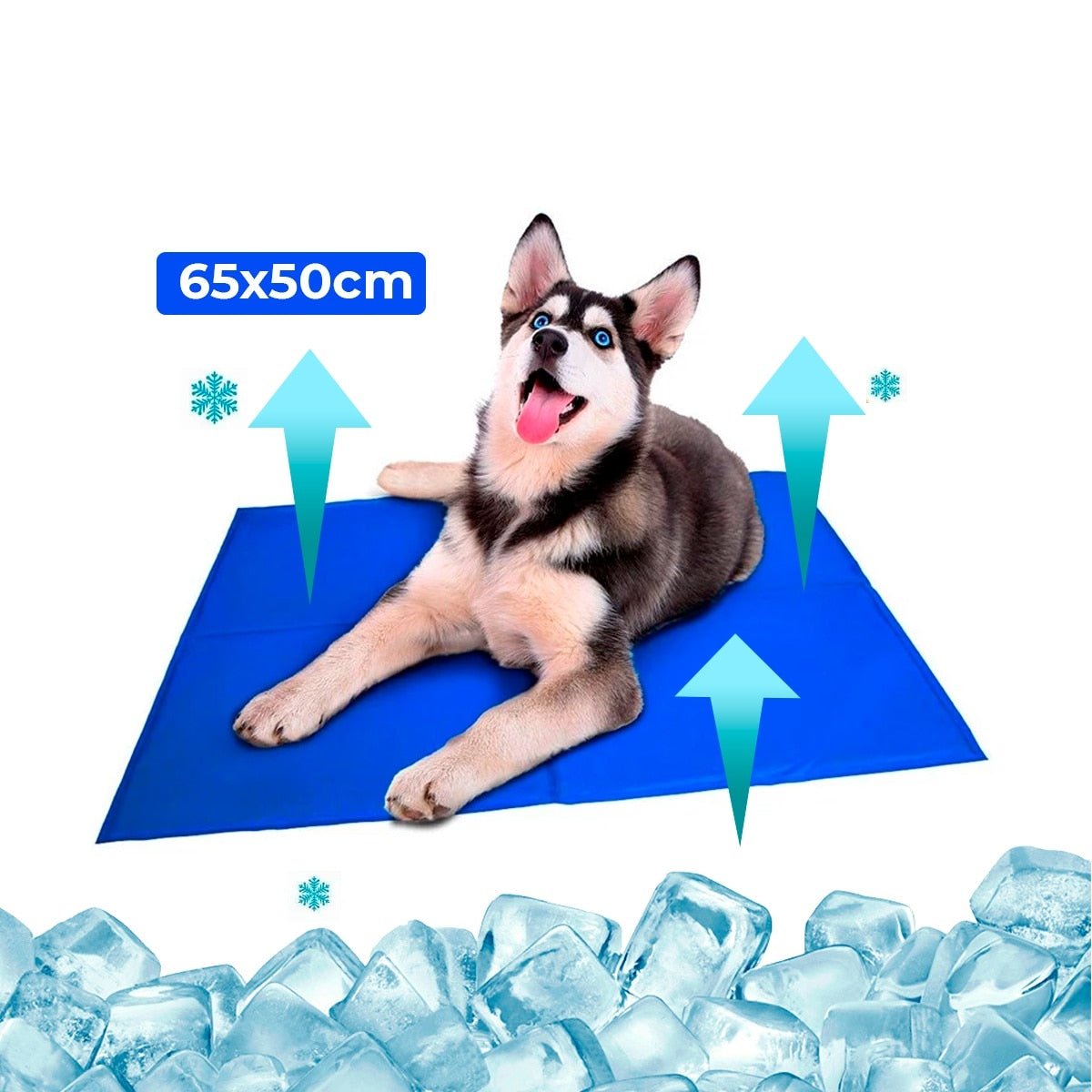 Tapete Gelado para Cães em PVC FreshSummer (G 50x65cm) - Amor PetShop