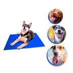 Tapete Gelado para Cães em PVC FreshSummer (G 50x65cm) - Amor PetShop