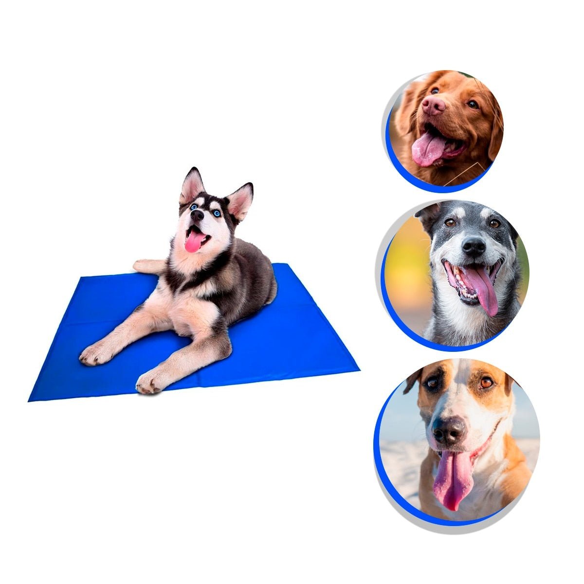 Tapete Gelado para Cães em PVC FreshSummer (G 50x65cm) - Amor PetShop
