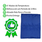 Tapete Gelado para Cães em PVC FreshSummer (G 50x65cm) - Amor PetShop